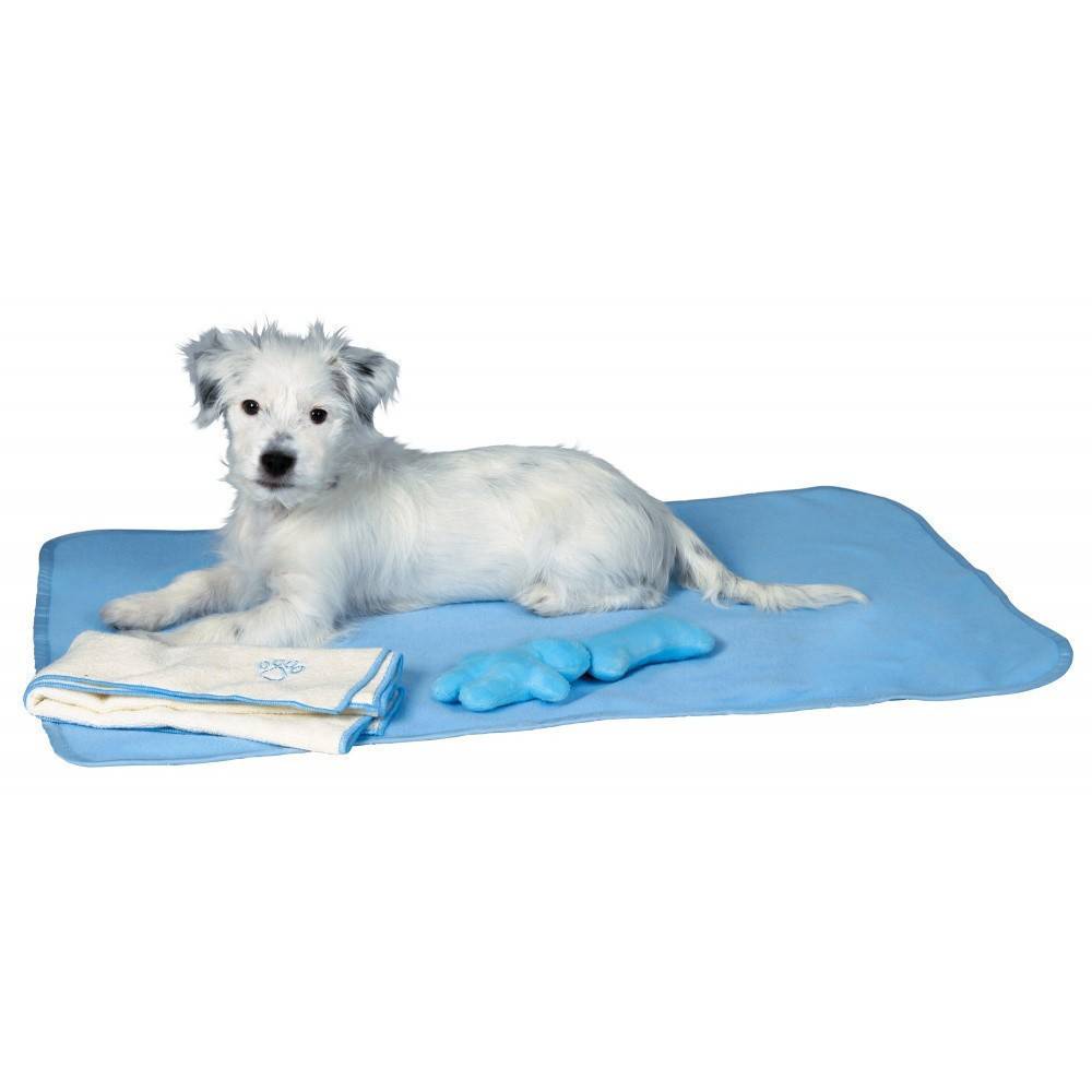 Trixie - Trixie - Set pour chiots bleu - Image 1