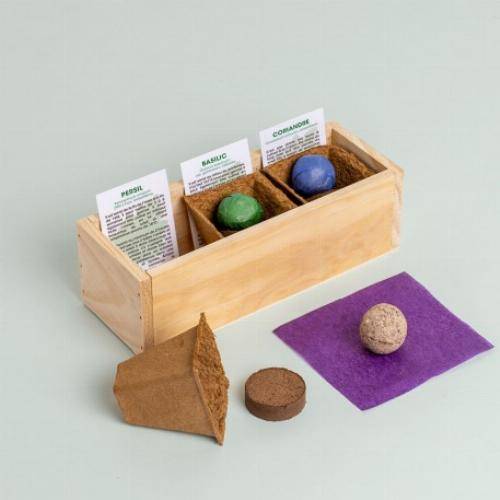 Kit mini potager légumes et herbes aromatiques - Herbes aromatiques - Image 1