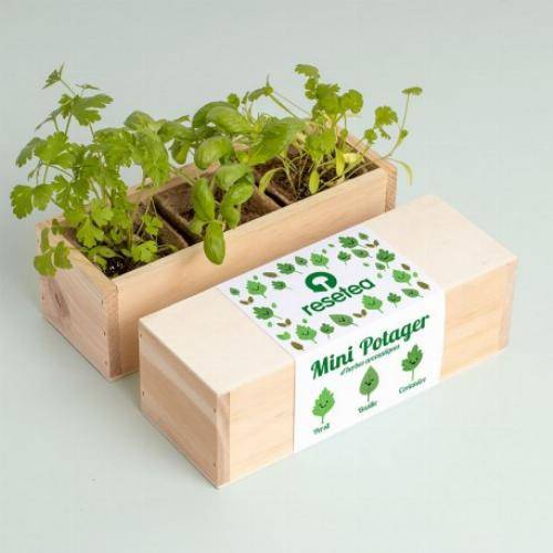 Kit mini potager légumes et herbes aromatiques - Herbes aromatiques - Image 4