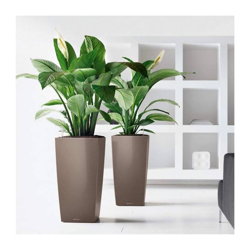 Lechuza - Pot De Fleur Lechuza Cubico Premium 50 - Kit Complet, Rouge Scarlet Brillant - Image 4