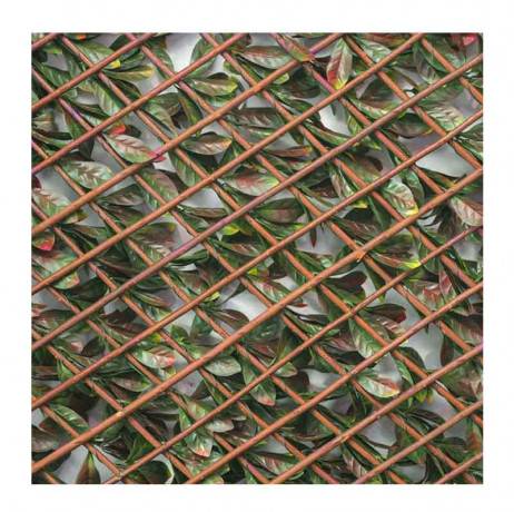 James Grass - France Green - Treillis extensible feuillage photinia, Long 16 m, Hauteur 1 m - Image 2