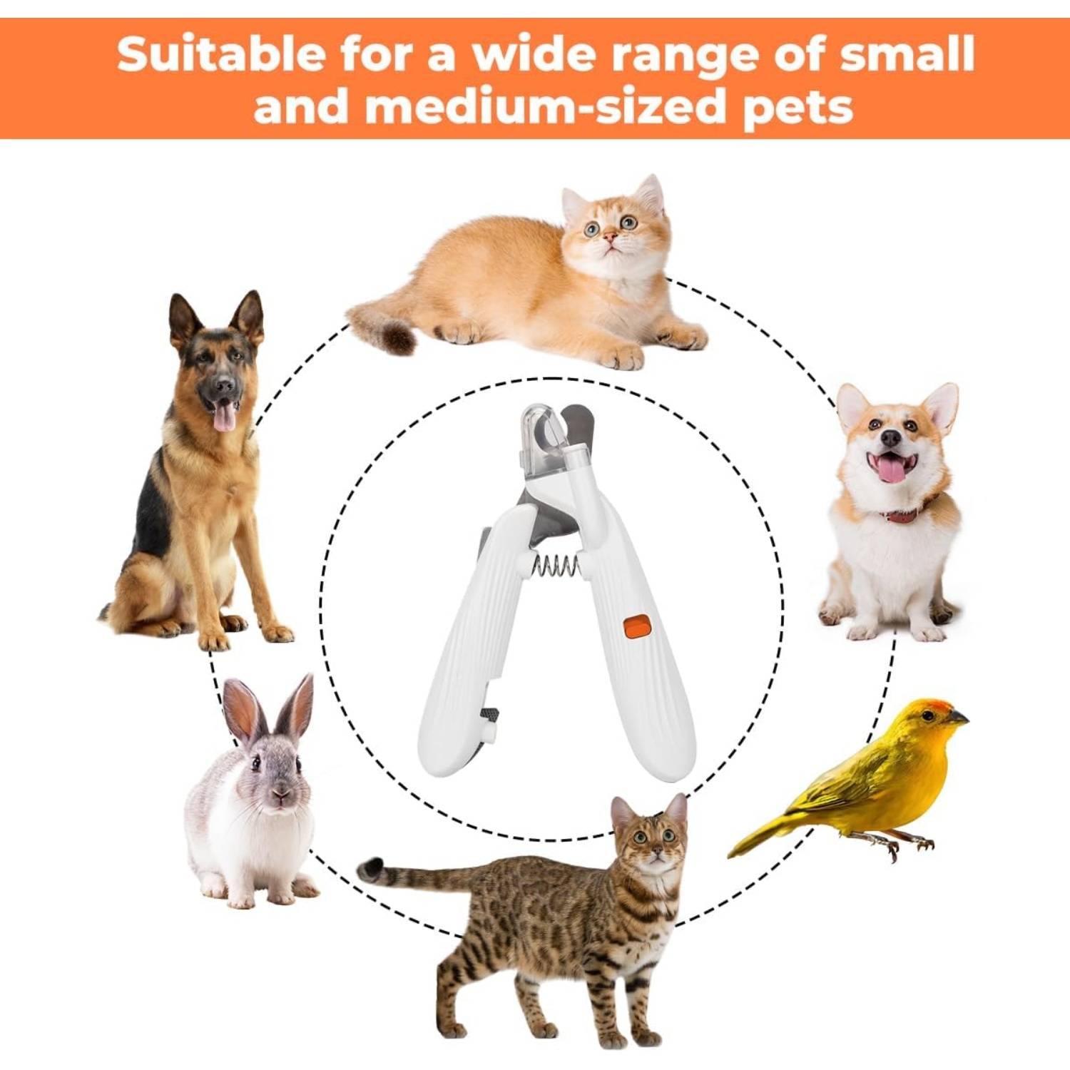Coupe-Ongles LED pour Chien et Chat - Sécurité et Précision DtopbuyAge - Image 5