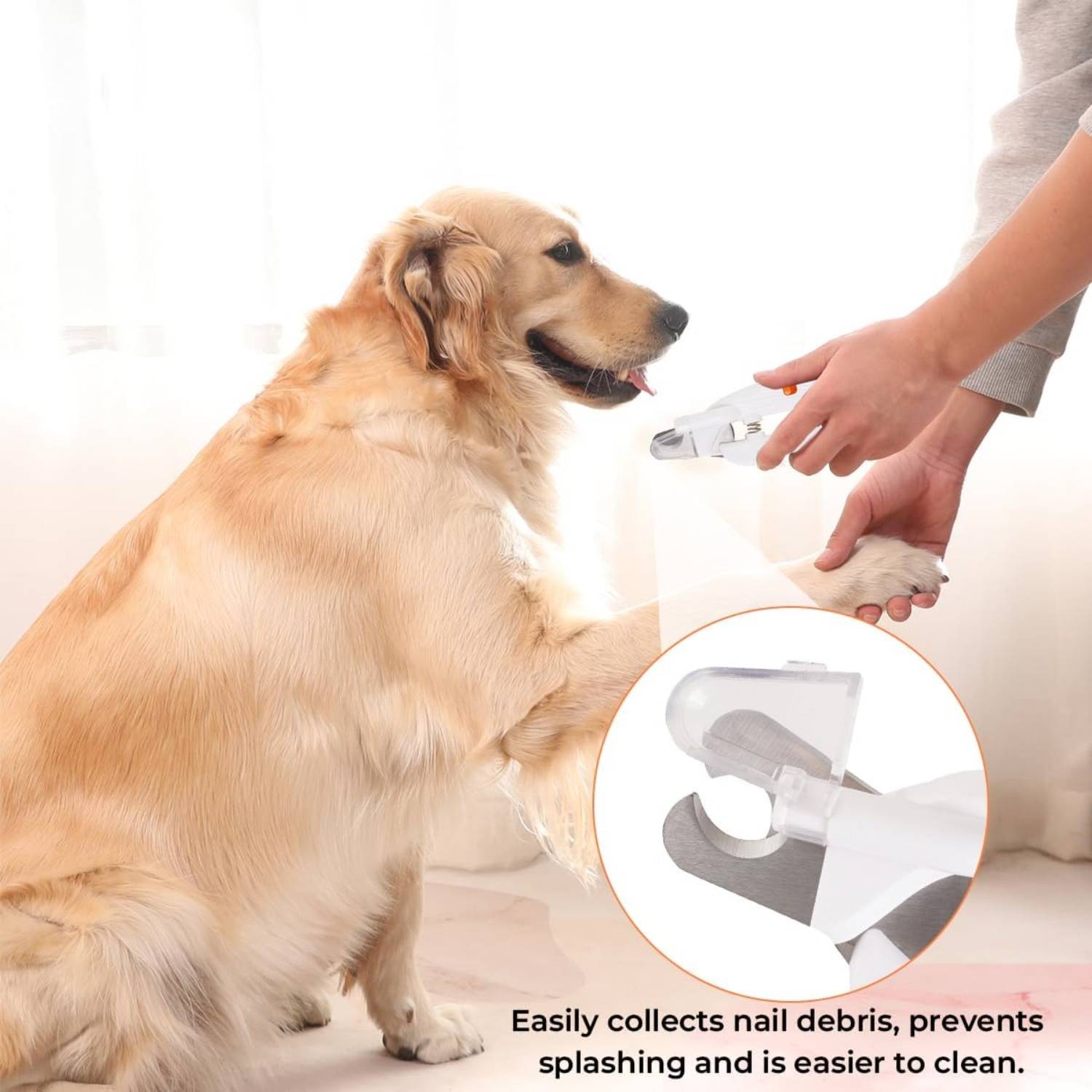 Coupe-Ongles LED pour Chien et Chat - Sécurité et Précision DtopbuyAge - Image 2
