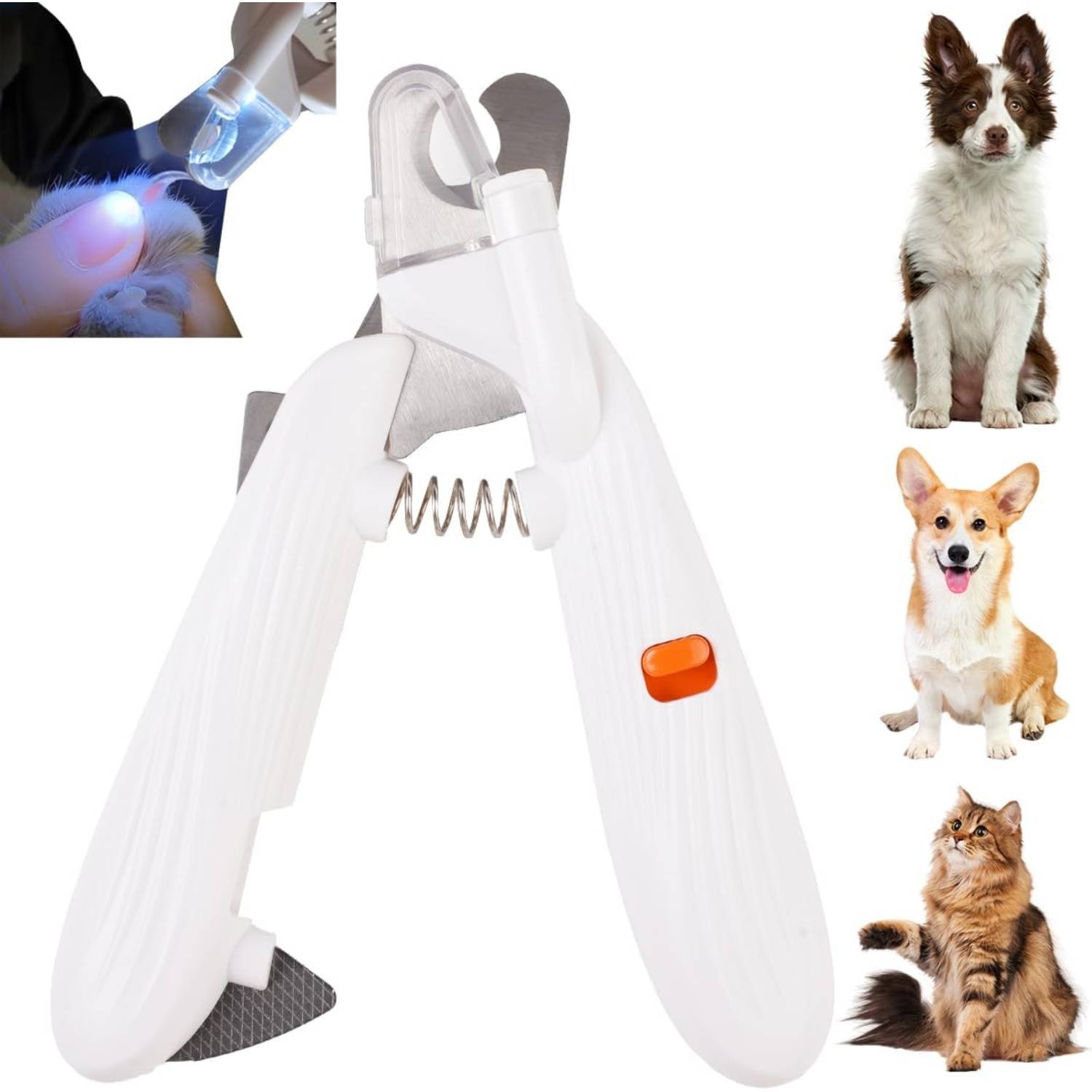 Coupe-Ongles LED pour Chien et Chat - Sécurité et Précision DtopbuyAge - Image 1
