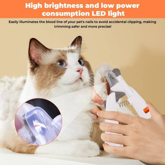 Coupe-Ongles LED pour Chien et Chat - Sécurité et Précision DtopbuyAge - Image 4