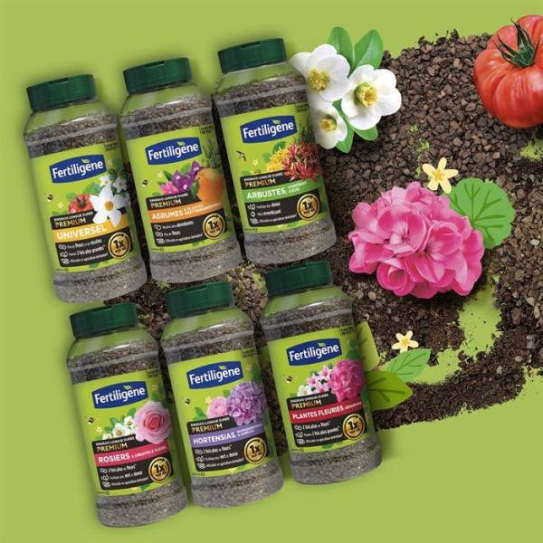 Fertiligène - Engrais longue durée premium arbustes coniferes et buis 600 g - FERTILIGENE - FEGLDARB - Image 5