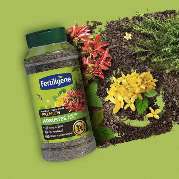 Fertiligène - Engrais longue durée premium arbustes coniferes et buis 600 g - FERTILIGENE - FEGLDARB - Image 4