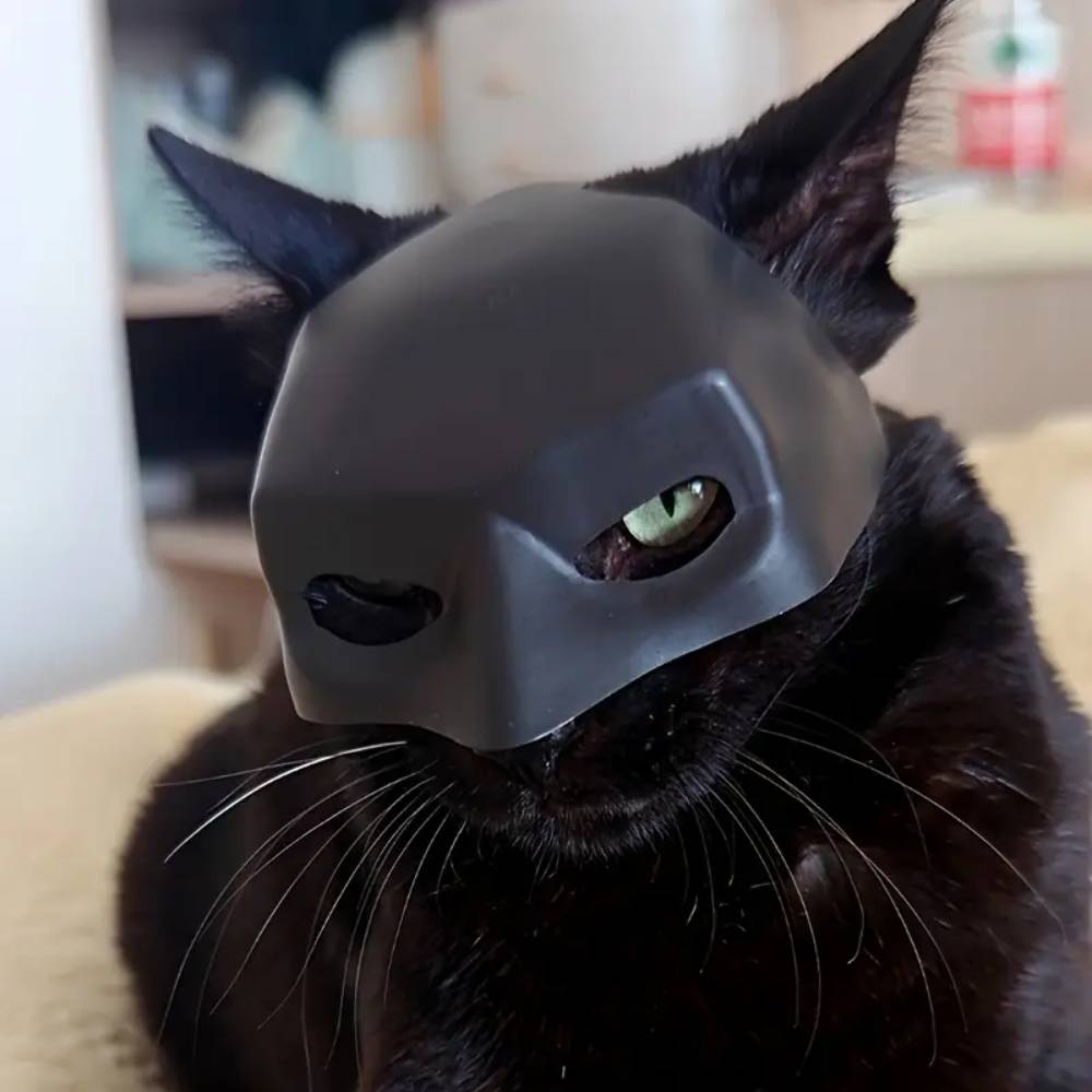 Masque Batman pour chat s - IntiMeg - Image 2