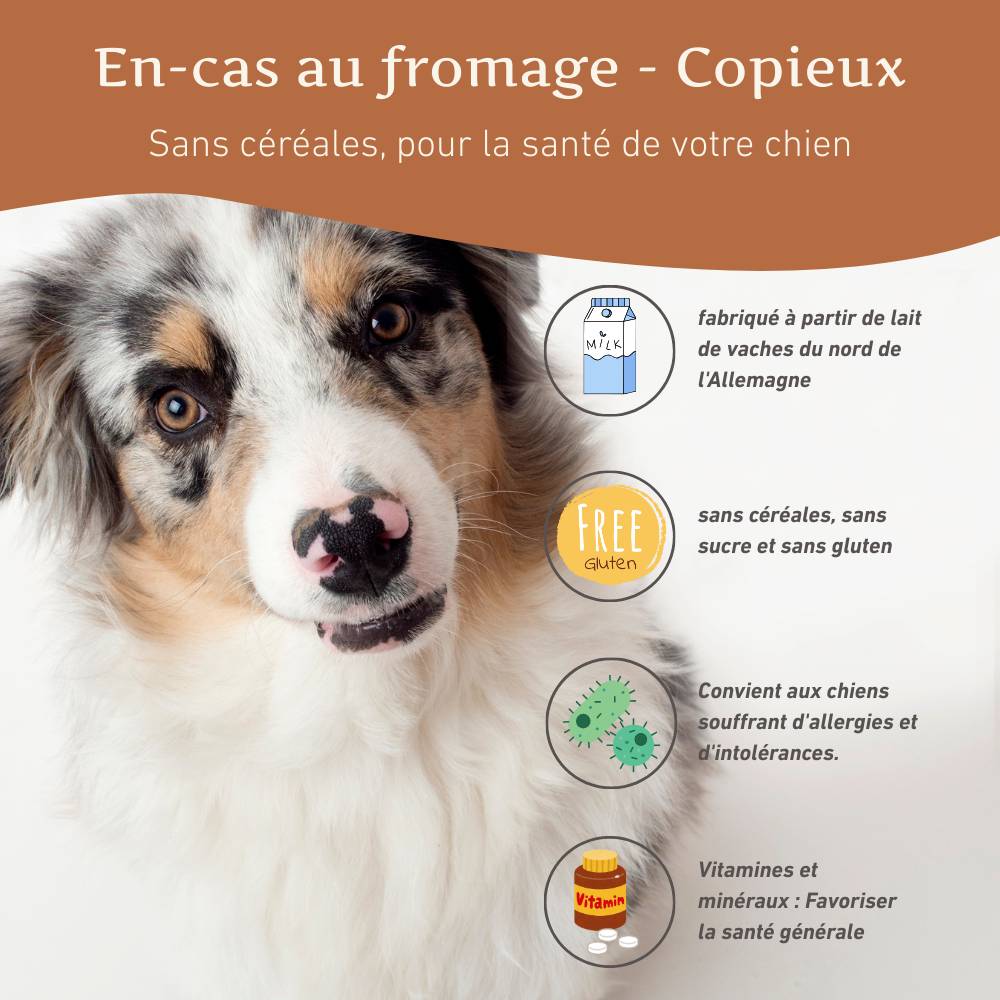 Wildfang - Wildfang - Forfait « Heure du matin » - pour chiens de taille moyenne jusqu'à 25 kg - Image 8