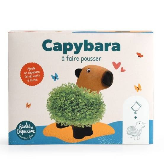 Radis et Capucine - Radis et Capucine - Capybara terre cuite poreuse avec graines de chia - Image 1