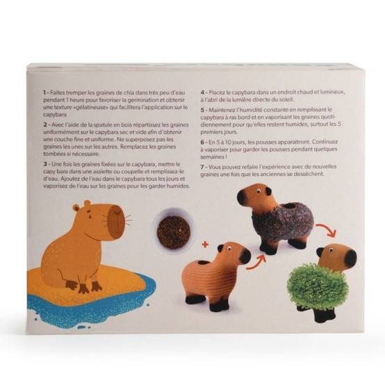 Radis et Capucine - Radis et Capucine - Capybara terre cuite poreuse avec graines de chia - Image 3