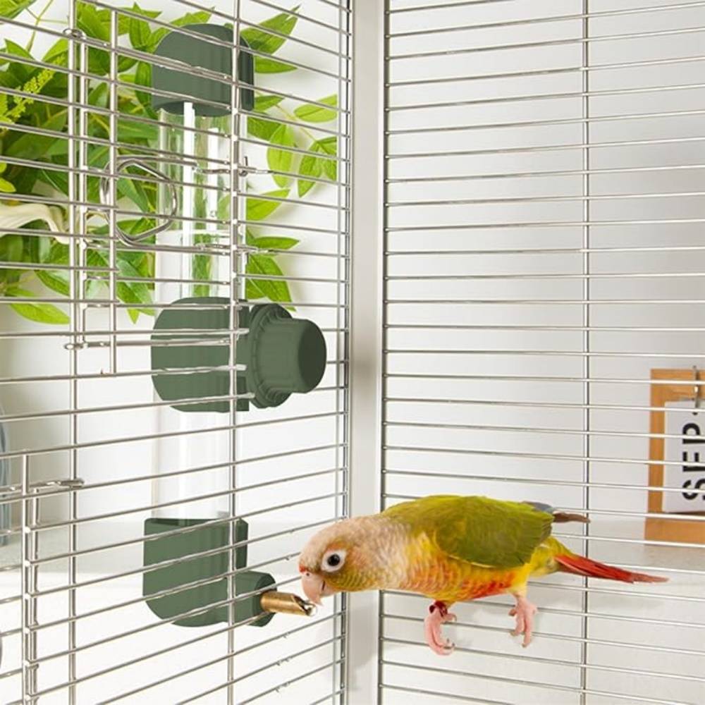 DtopbuyAge - Distributeur D'eau Automatique Vert 280 Ml Pour Oiseaux DtopbuyAge - Image 3