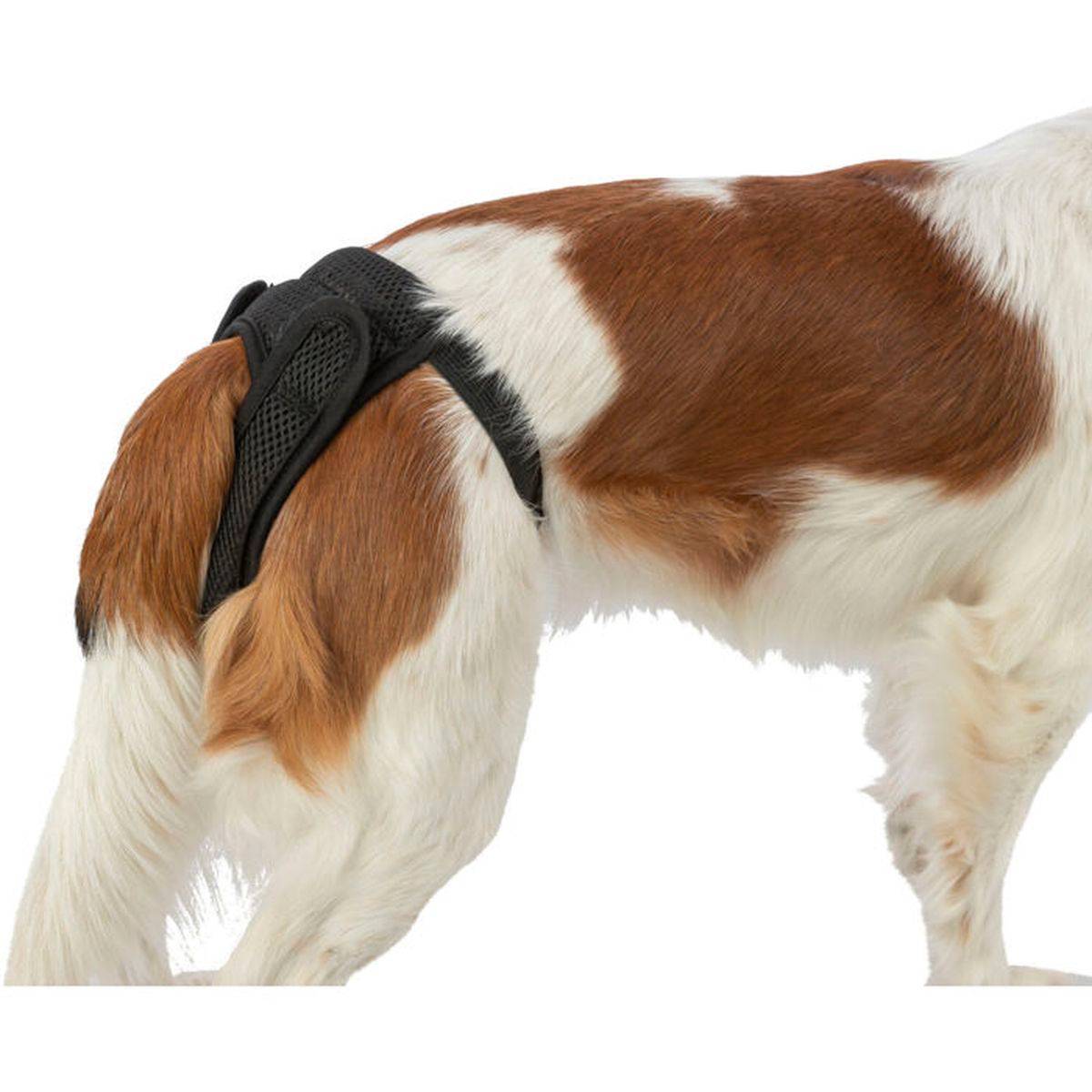 Trixie - Slip de protection respirant Trixie pour chien Taille XL - Image 5