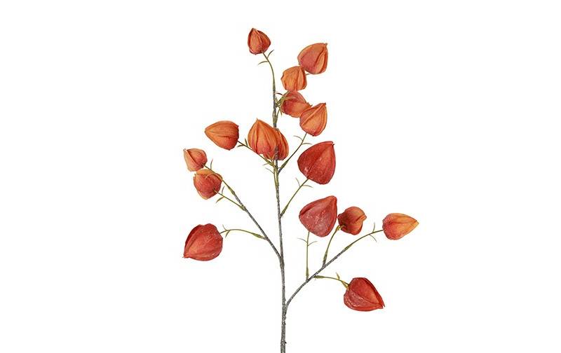 Fleur Physalis rouge-16x16x82CM