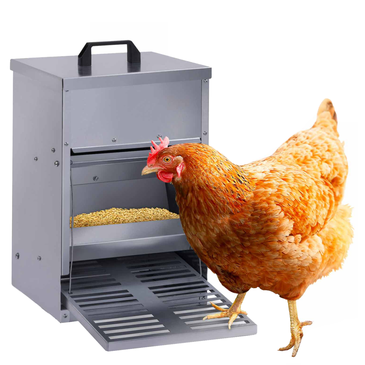 IDMARKET - Mangeoire à pédale pour poules distributeur automatique 5 kg anti-nuisibles - Image 2