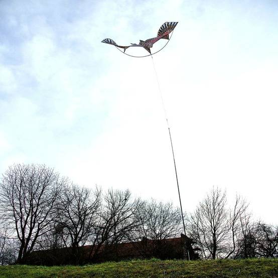 Effaroucheur d'oiseaux cerf volant faucon - Image 10