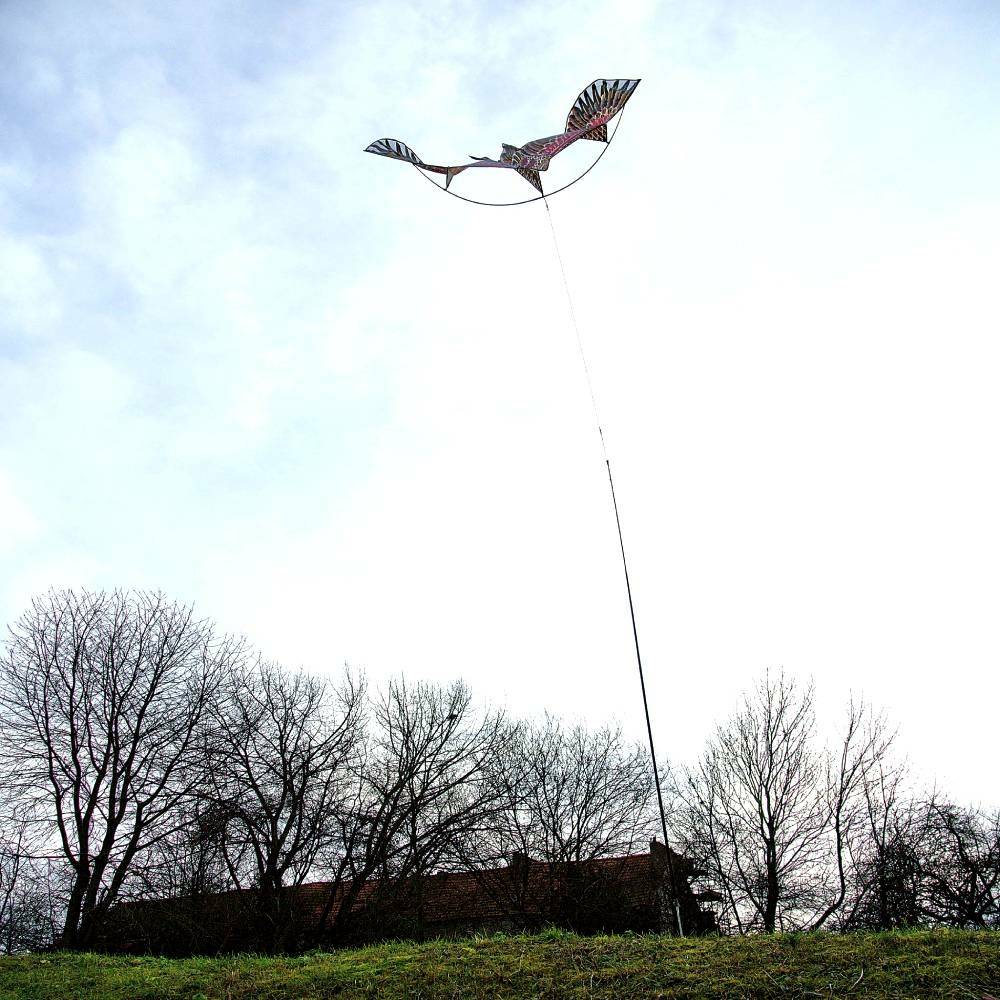 Effaroucheur d'oiseaux cerf volant faucon - Image 10
