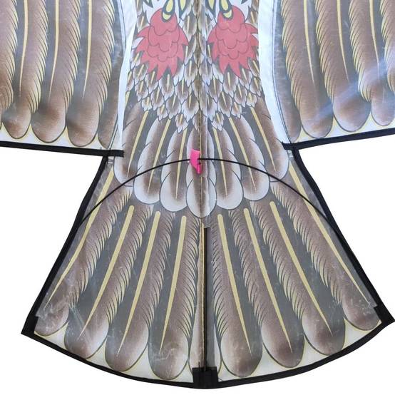 Effaroucheur d'oiseaux cerf volant faucon - Image 6