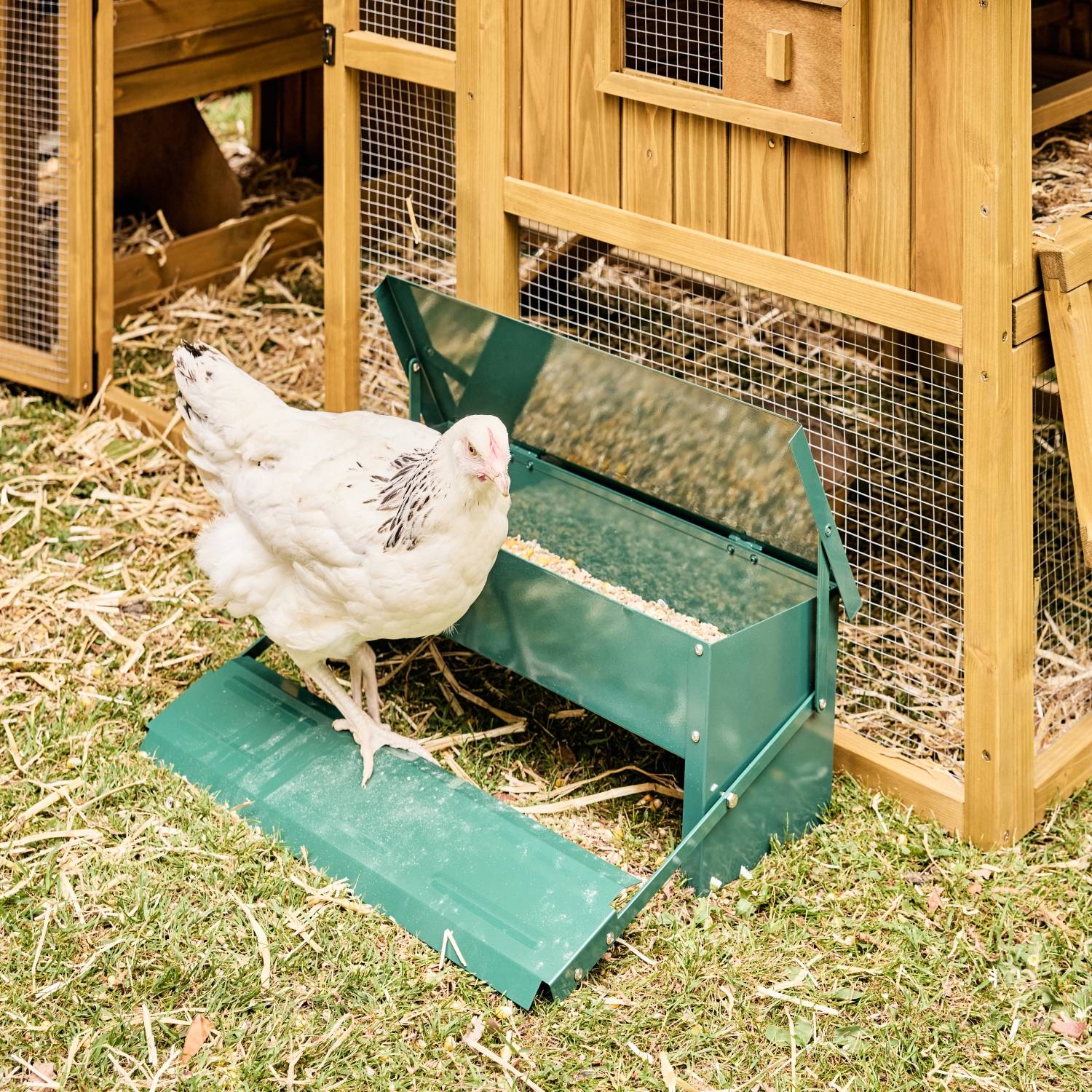 sweeek - Mangeoire automatique pour poules - distributeur à pédale - capacité de 5kg - acier galvanisé | sweeek - Image 1