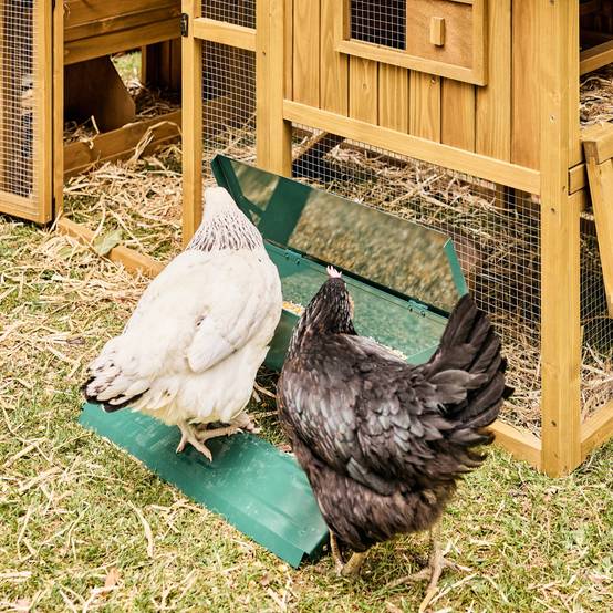 sweeek - Mangeoire automatique pour poules - distributeur à pédale - capacité de 5kg - acier galvanisé | sweeek - Image 7