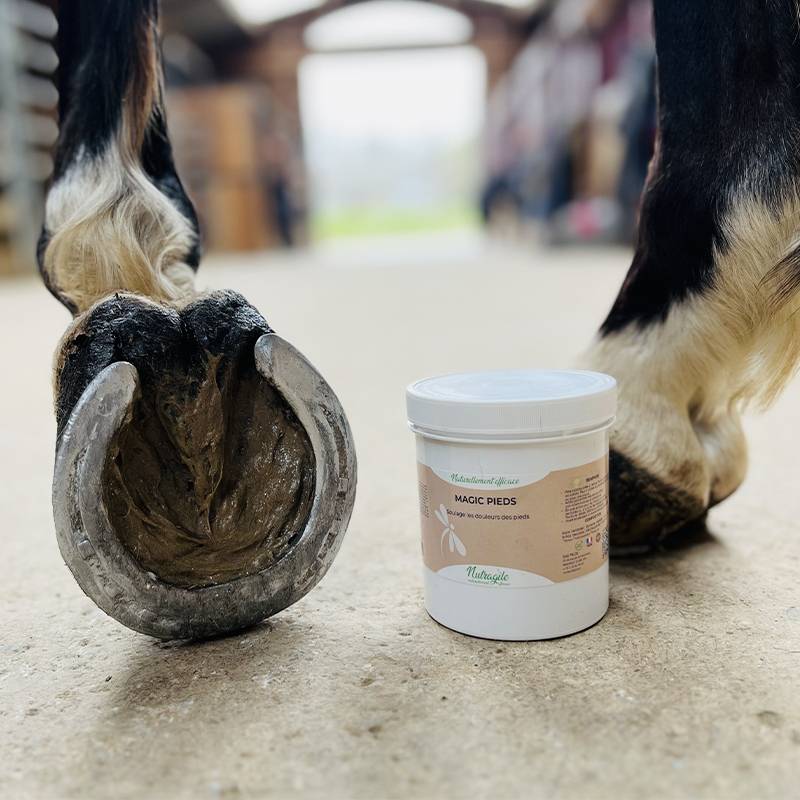 Magic Pieds cheval : Fourchette pourrie | Nutragile - Image 2