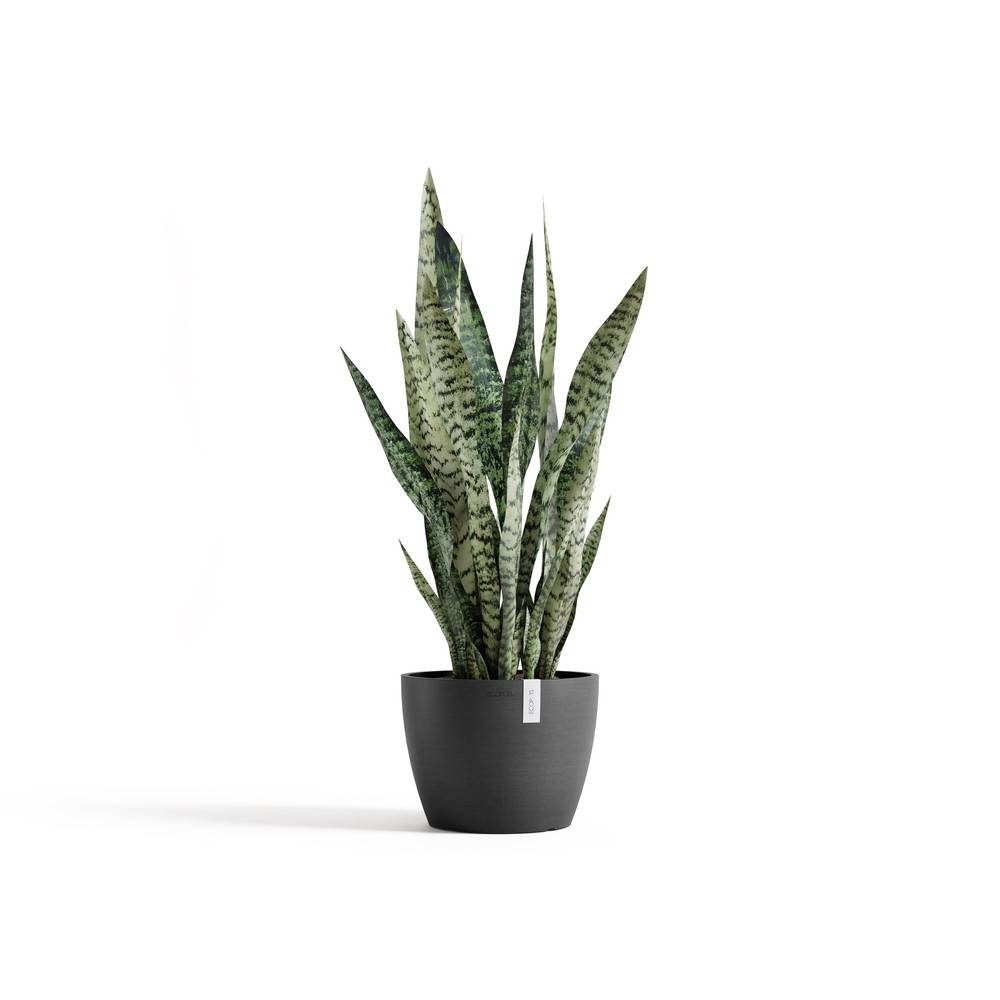 Ecopots - Pot Rond Stockholm 24 Gris Foncé - Ø 23,2 x H. 17,6 cm - 5,4 L ECOPOTS - Image 1