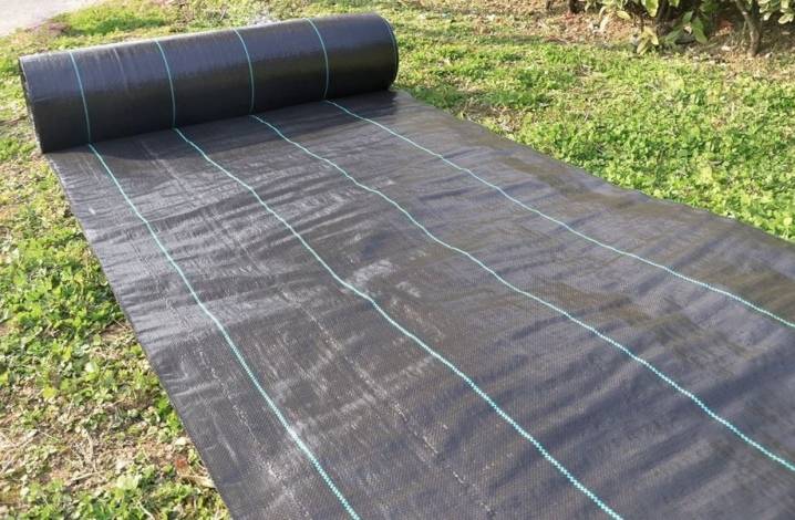 Toile de paillage anti-mauvaises herbes 1x25 m 100 g/m² - PRACTO GARDEN - Image 3