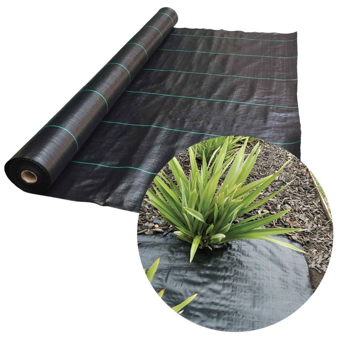 Toile de paillage anti-mauvaises herbes 1x25 m 100 g/m² - PRACTO GARDEN - Image 4