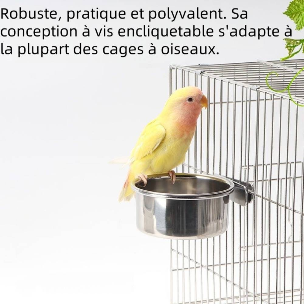 Bol pour oiseau en acier inoxydable - IntiMeg - Image 2