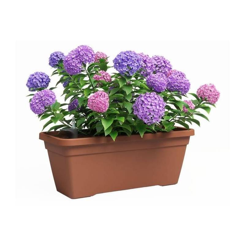 Jardiniere - Plastique - Terre Cuite - Rectangulaire - L77,9 X P24 X H22cm - Artevasi - Image 2