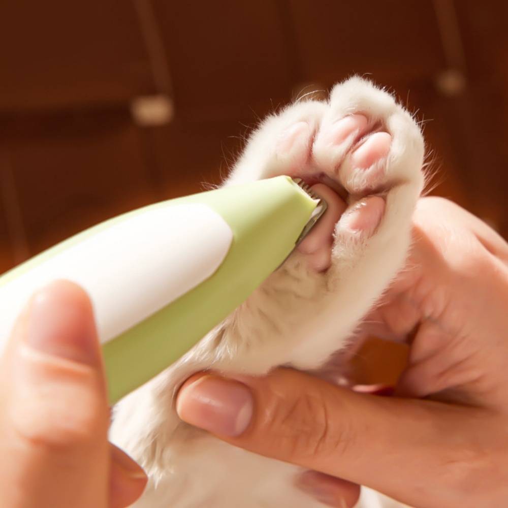 IntiMeg - Tondeuse pour pattes d'animaux avec lumière LED Jaune IntiMeg - Image 7