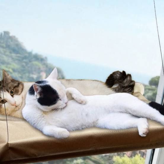 IntiMeg - Hamac pour chat ultra doux IntiMeg - Image 2