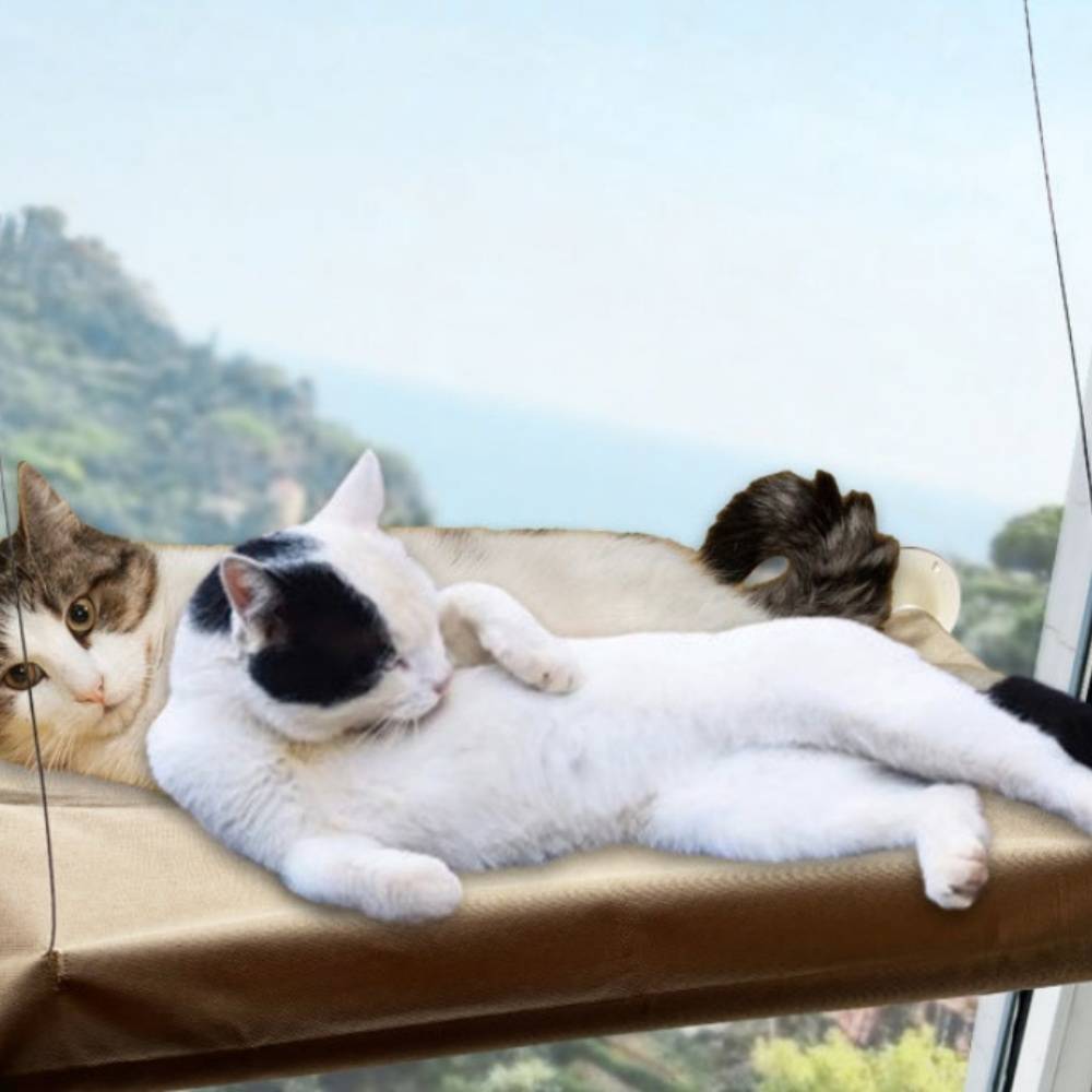 IntiMeg - Hamac pour chat ultra doux IntiMeg - Image 2