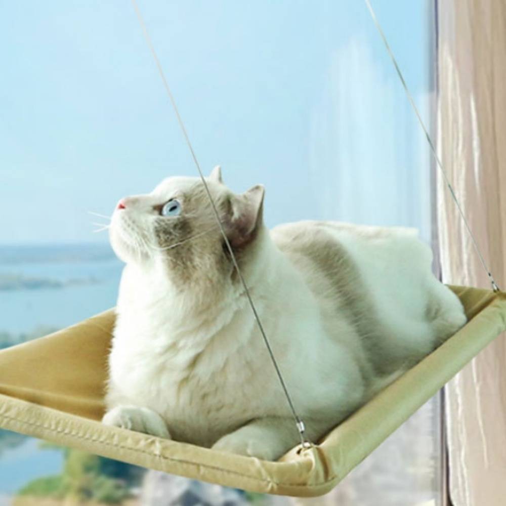 IntiMeg - Hamac pour chat ultra doux IntiMeg - Image 5