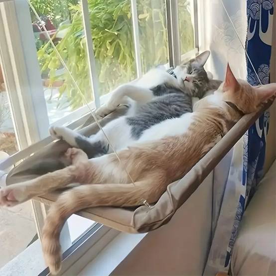 IntiMeg - Hamac pour chat ultra doux IntiMeg - Image 4