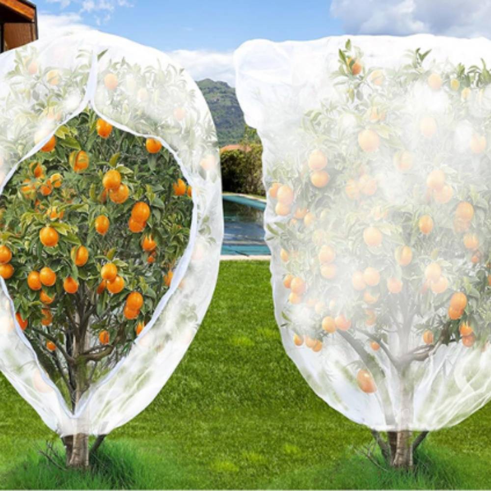 Episkey Filet Anti-Insectes Potager 2.5 X 5 M – Protection Ultra-Fine Contre Moustiques, Papillons, Oiseaux Et Parasites Pour Légumes & Fruits