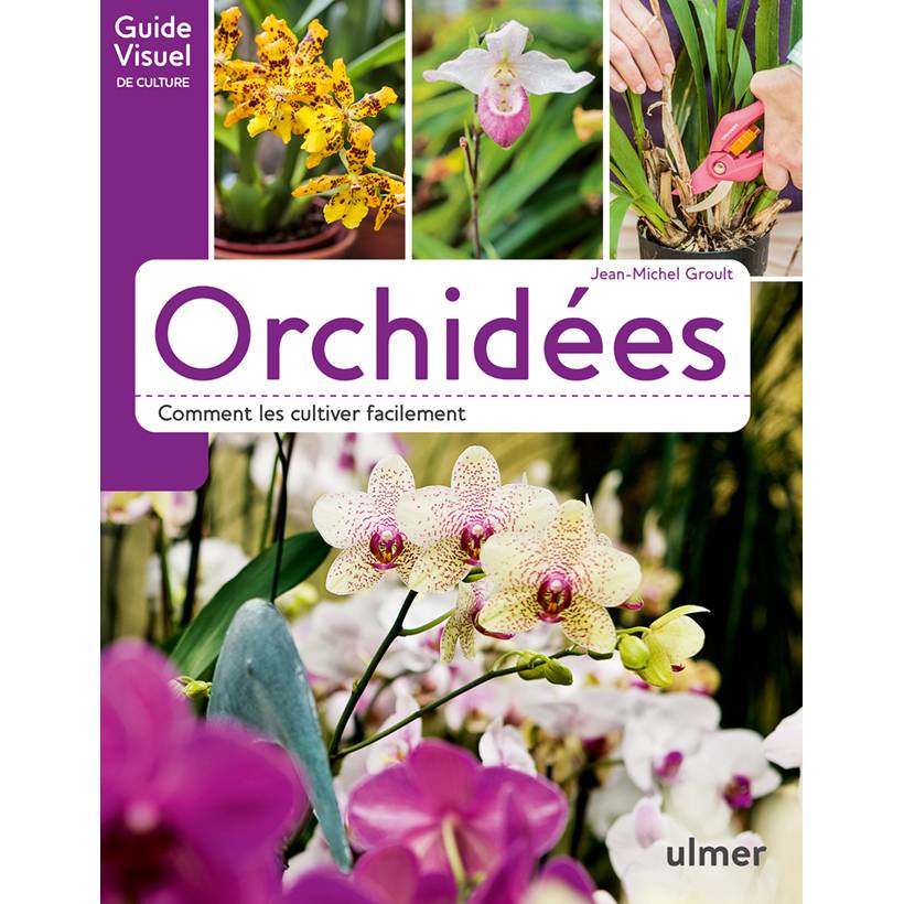 Promesse de Fleurs - Orchidées - Comment les cultiver facilement