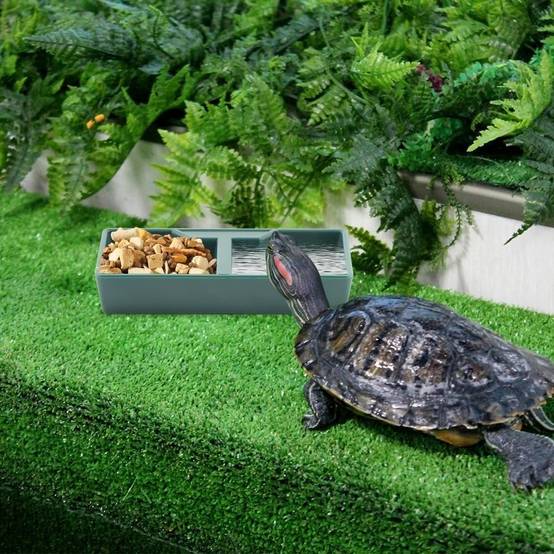 Gamelle 2 Compartiments Vert ABS Pour Reptiles - Lytech - Image 4