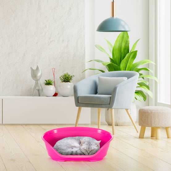 Ferplast - FERPLAST - Panier Chien Panier Chat - Lit pour Chien en Plastique Small - 100% Plastique Recyclé - Lit pou Chat Lavable - Respirant Antidérapant - - Image 4