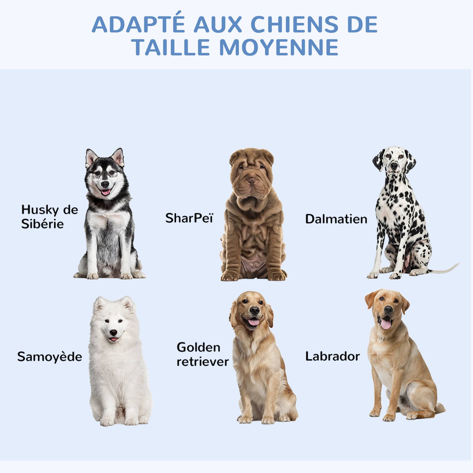 Pawhut - Cage de transport pour chien pliable - 2 portes verrouillables - plateau amovible - dim. 121L x 77l x 82H cm - acier ABS noir - Image 5