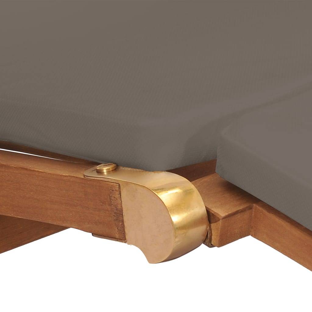 Vidaxl - Chaise longue avec coussin Gris foncé Bois de teck solide vidaXL 47409 - Image 4