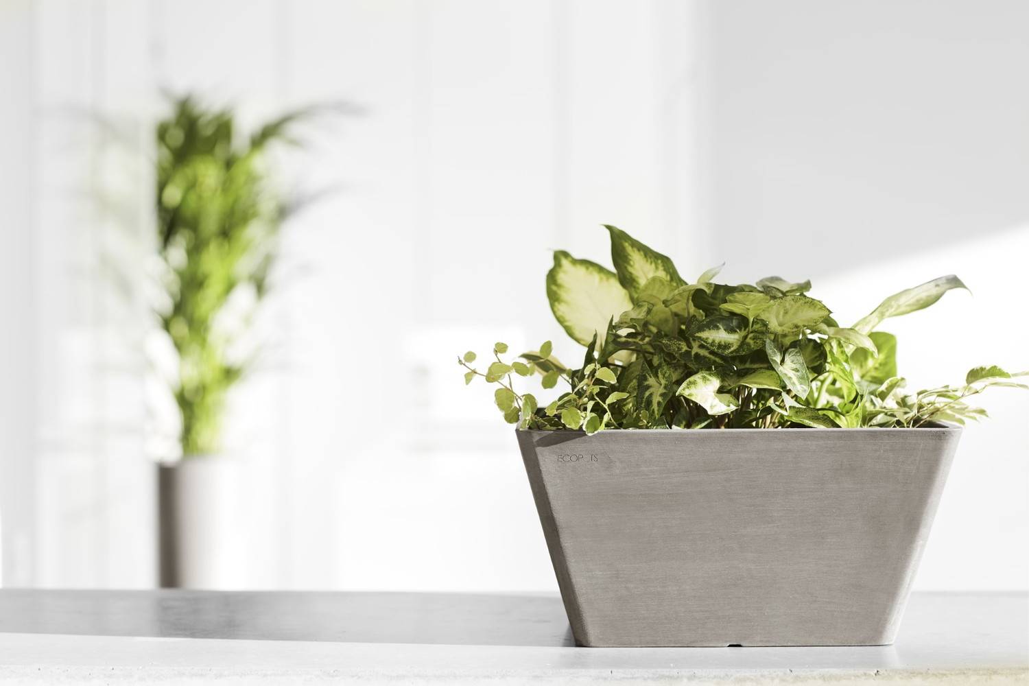 Ecopots - Pot Carré Berlin 30 Taupe - 31 x 31 x H. 15,5 cm - 10 L ECOPOTS - Image 5