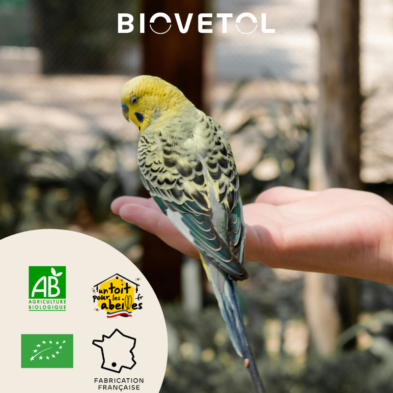 Biovetol - Poudre Bien-être intestinal Bio Oiseaux - 40g - Image 3