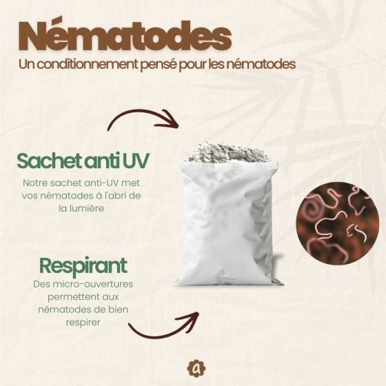 achatnature - Nématodes HB contre otiorhynques - 50 millions - 100 m² - Image 2
