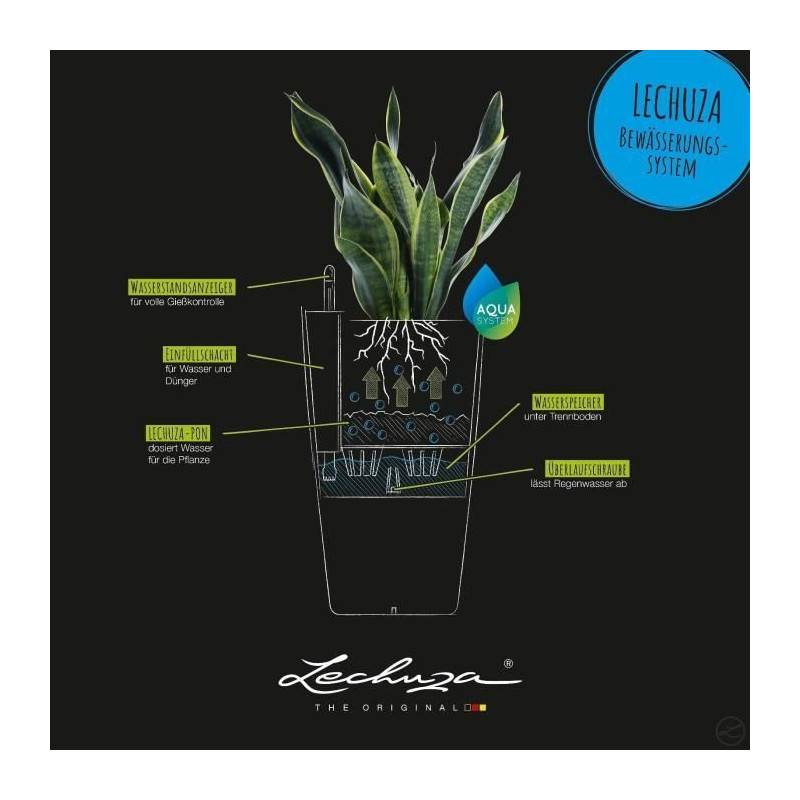 Lechuza - Pot De Fleur Lechuza Cubico Premium 50 - Kit Complet, Noir Brillant - Image 3