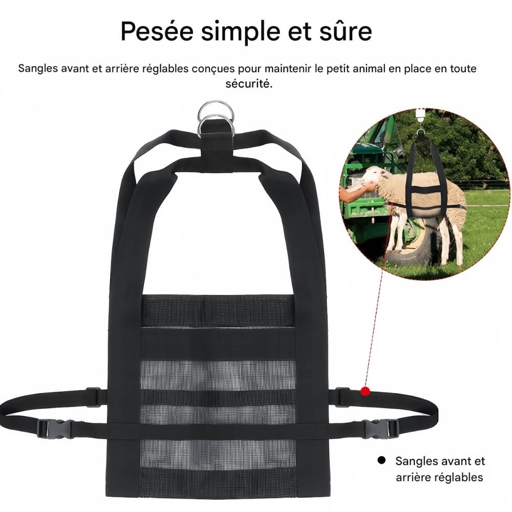 IntiMeg - Ceinture de pesée pour animaux de compagnie IntiMeg - Image 6