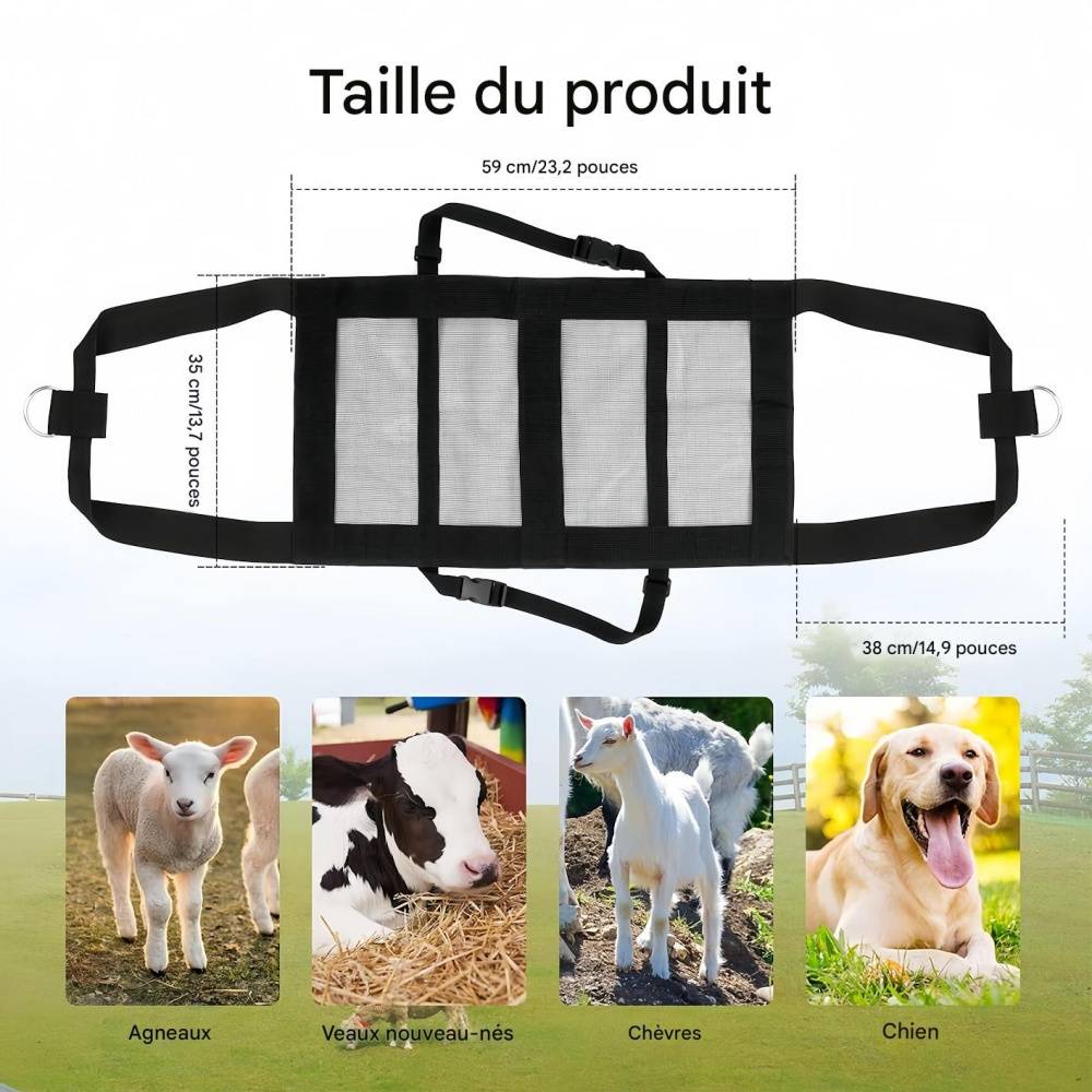 IntiMeg - Ceinture de pesée pour animaux de compagnie IntiMeg - Image 3