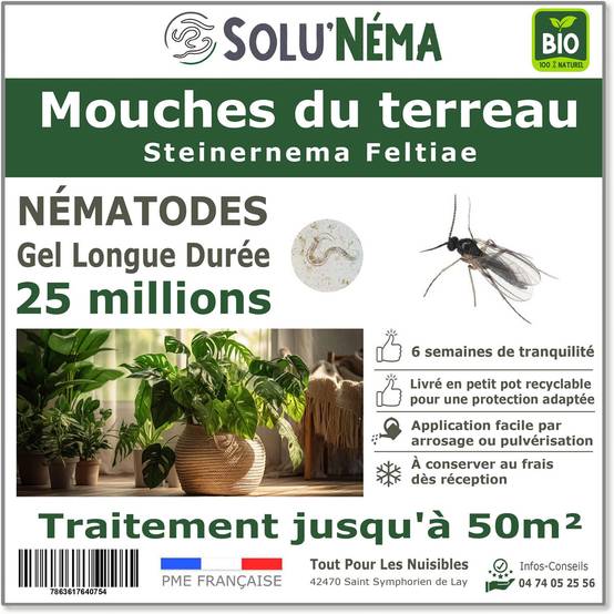 Solunéma - Nématodes contre la Mouche du Terreau - 25 millions Steinernema Feltiae (SF)- Traitement pour 50 m² - Image 1