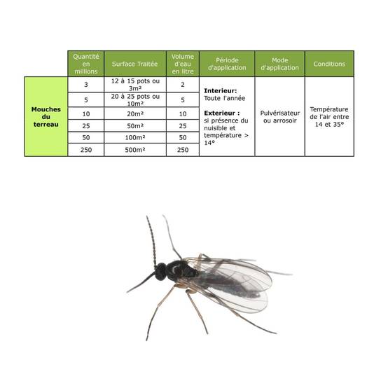 Solunéma - Nématodes contre la Mouche du Terreau - 25 millions Steinernema Feltiae (SF)- Traitement pour 50 m² - Image 4