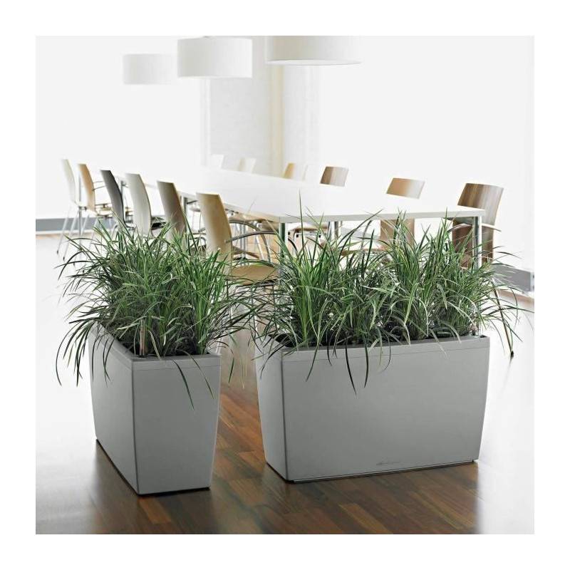 Lechuza - Pot De Fleur Lechuza Cararo Premium - Kit Complet, Taupe Brillant - Image 5